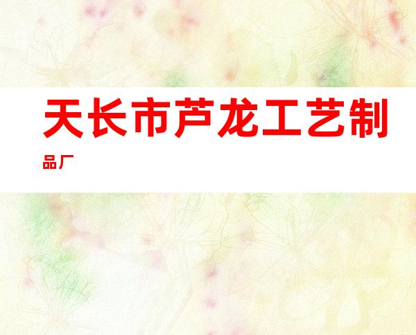 天长市芦龙工艺制品厂